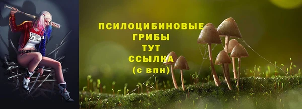 mdpv Касимов